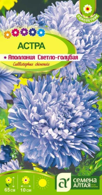 Семена астра Аполлония светло-голубая, Семена Алтая: фото