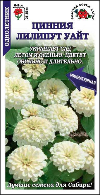 Семена цинния Лилипут Уайт, Золотая Сотка: фото
