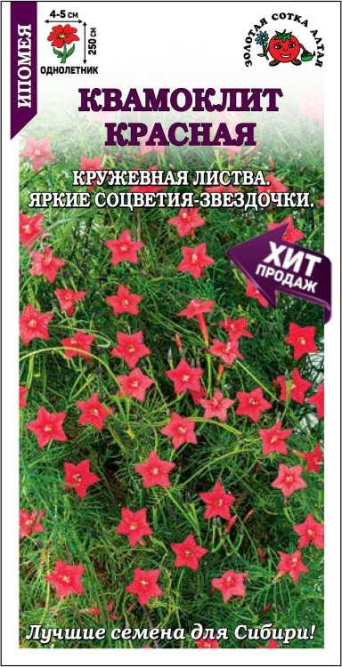 Семена ипомея Квамоклит красная, Золотая сотка: фото
