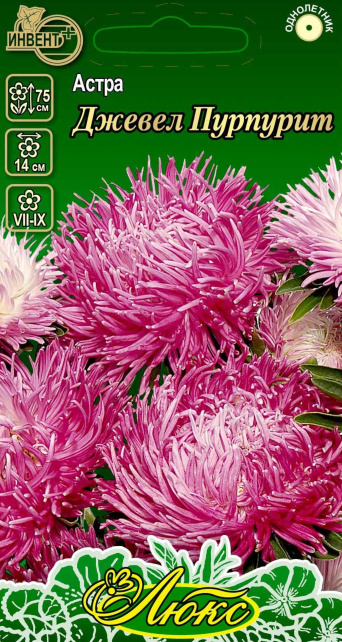 Астра Джевел Пурпурит (серия ЛЮКС) ИНВЕНТ+: фото