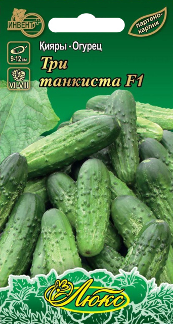 Огурец Три танкиста F1 (серия ЛЮКС), ИНВЕНТ+: фото