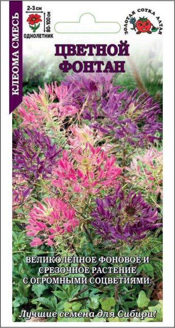 Семена клеома Цветной фонтан смесь, Золотая сотка: фото