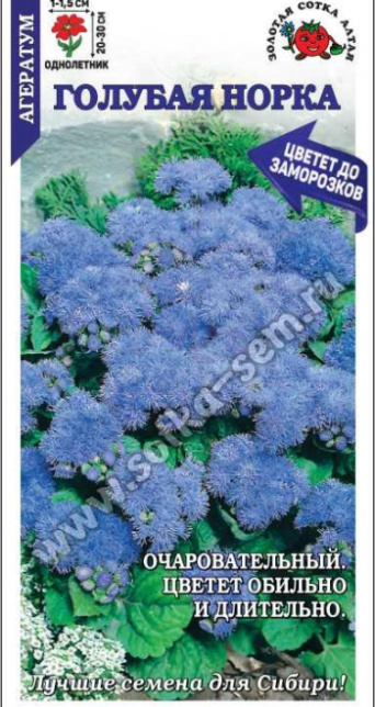 Семена агератум Голубая норка, Золотая Сотка: фото