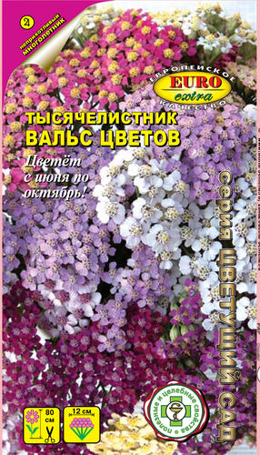 Семена тысячелистник Вальс цветов, Аэлита: фото