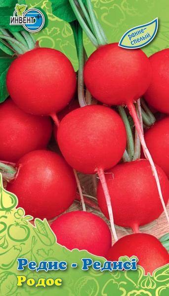 Редис Родос, ИНВЕНТ+: фото