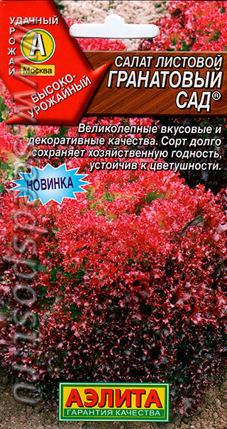 Семена салат Гранатовый сад, Аэлита: фото
