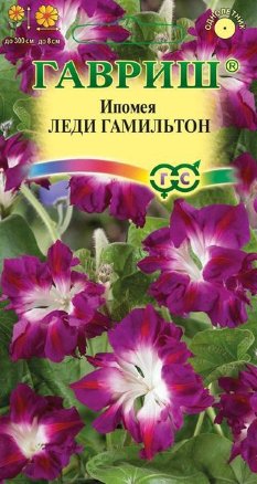 Семена ипомея Леди Гамильтон, Гавриш: фото