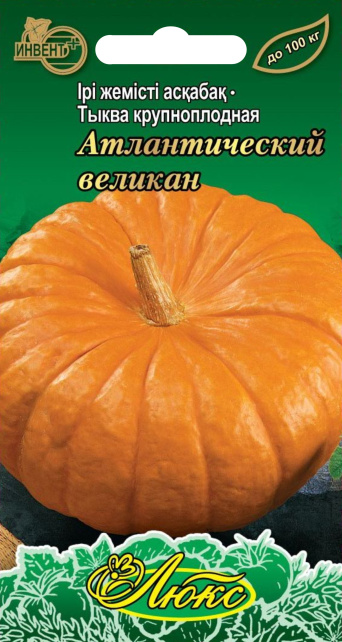 Тыква крупноплодная Атлантический Великан (серия ЛЮКС), ИНВЕНТ+: фото
