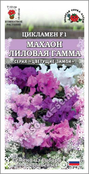 Семена цикламен Махаон Лиловая гамма, Золотая Сотка: фото