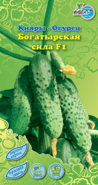 Огурец Богатырская сила F1, ИНВЕНТ+: фото