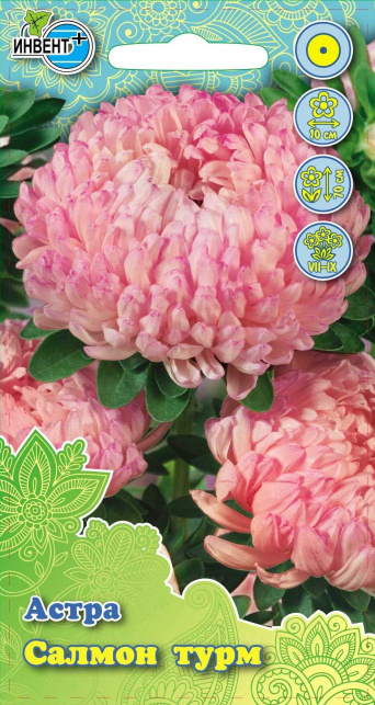 Астра Салмон Турм, ИНВЕНТ+: фото