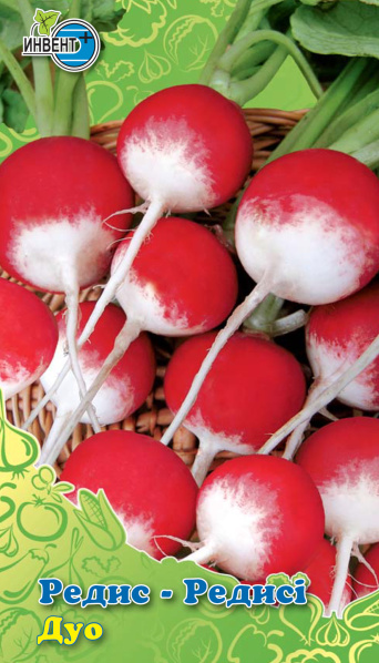 Редис Дуо ИНВЕНТ+: фото