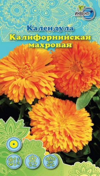 Календула Калифорнийская махровая, ИНВЕНТ+: фото