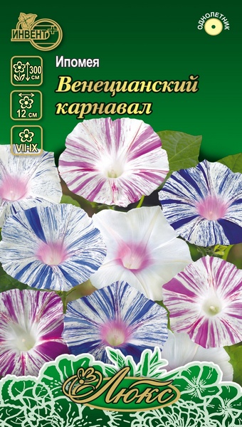 Ипомея Венецианский карнавал (серия ЛЮКС), ИНВЕНТ+: фото