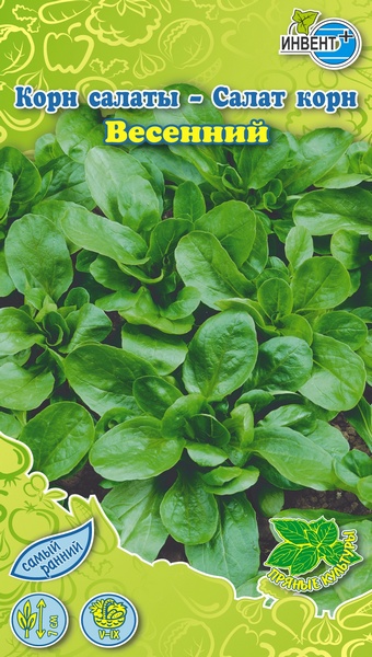 Салат корн Весенний, ИНВЕНТ+: фото