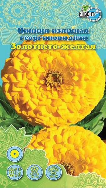 Цинния изящная георгиновидная Золотисто-желтая, ИНВЕНТ+: фото