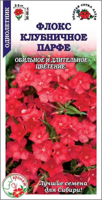 Семена флокс Клубничное Парфе, Золотая Сотка: фото