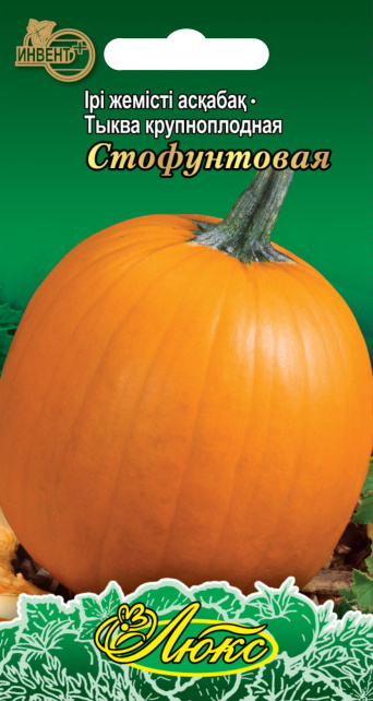 Тыква Стофунтовая (серия ЛЮКС), ИНВЕНТ+: фото