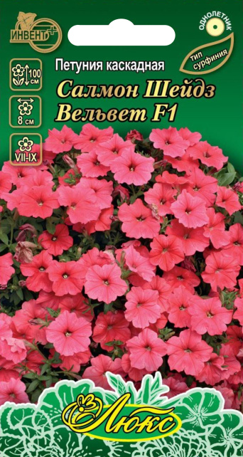 Петуния Салмон Шейдз Вельвет F1 (серия ЛЮКС) ИНВЕНТ+: фото