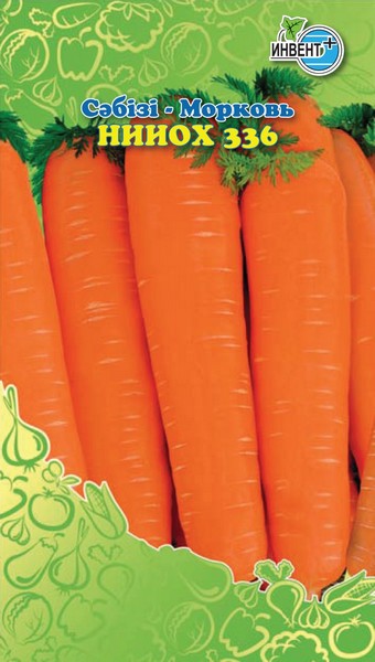 Морковь НИИОХ 336, ИНВЕНТ+: фото