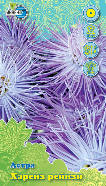 Астра Харенз Рейнзи, ИНВЕНТ+: фото