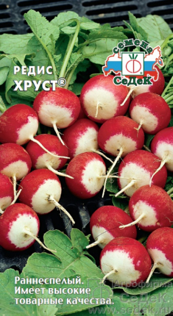 Семена редис Хруст, Седек: фото