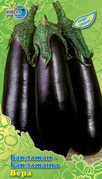 Баклажан Вера, ИНВЕНТ+: фото