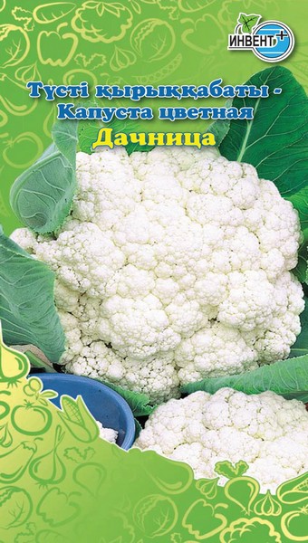 Капуста цветная Дачница, ИНВЕНТ+: фото
