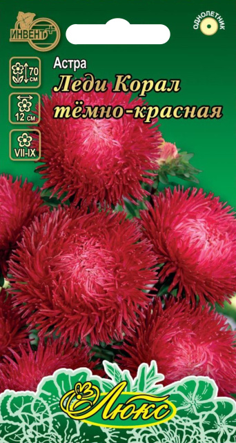Астра Леди Корал темно-красная (серия ЛЮКС) ИНВЕНТ+: фото