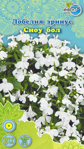Лобелия эринус Сноу Бол, ИНВЕНТ+: фото