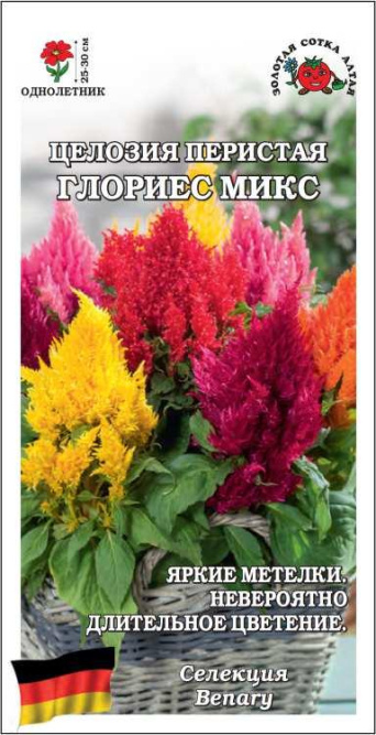 Семена целозия перистая Глориес микс, Золотая сотка: фото