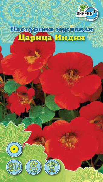 Настурция кустовая Царица Индии, ИНВЕНТ+: фото