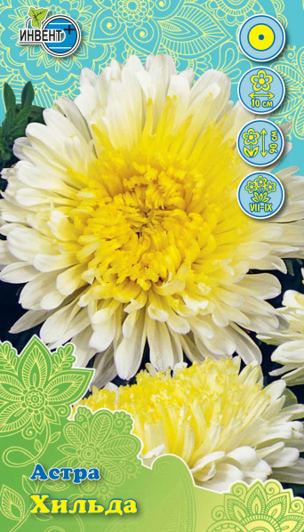 Астра Хильда, ИНВЕНТ+: фото