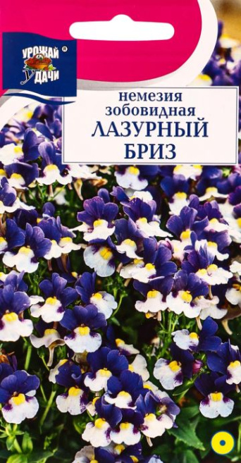 Семена немезия Лазурный бриз, Урожай удачи: фото