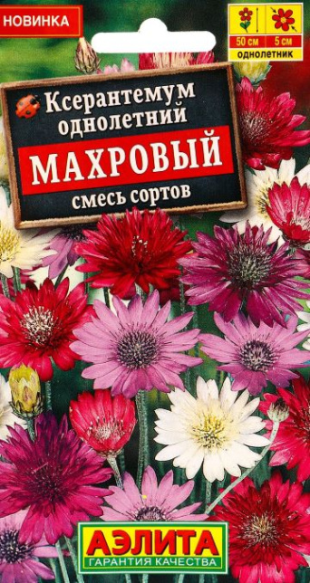 Семена ксерантемум Махровый, смесь, Аэлита: фото