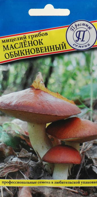 Мицелий грибов Маслёнок обыкновенный, Престиж: фото