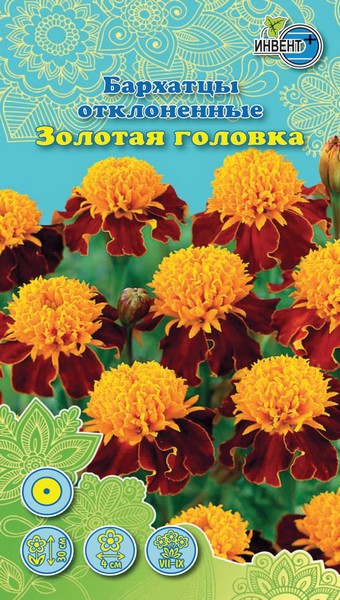 Бархатцы отклоненные Золотая Головка, ИНВЕНТ+: фото