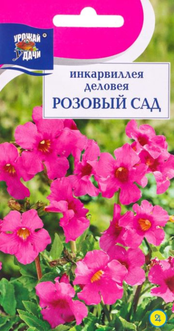 Семена инкарвиллея деловея Розовый Сад, Урожай удачи: фото