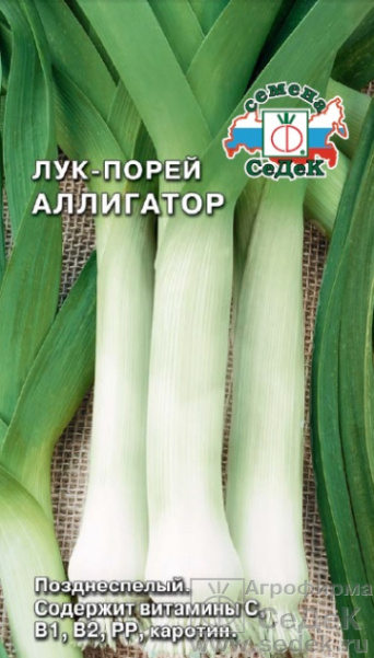 Семена лук-порей Аллигатор, Седек: фото