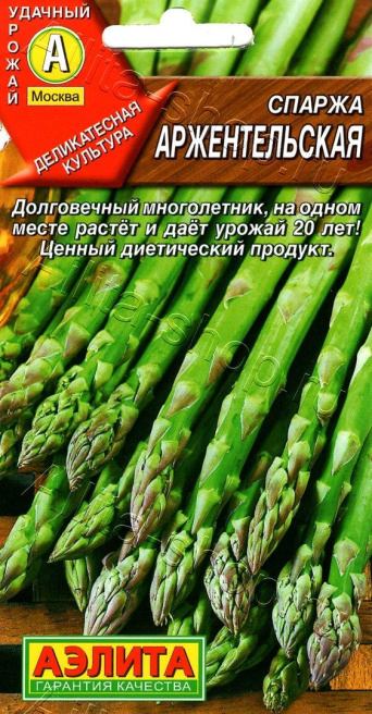 Семена спаржа Аржентельская, Аэлита: фото