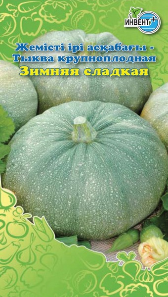 Тыква крупноплодная Зимняя Сладкая, ИНВЕНТ+: фото