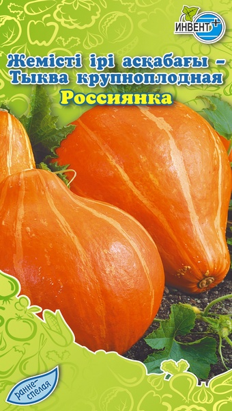 Тыква крупноплодная Россиянка, ИНВЕНТ+: фото