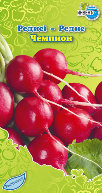 Редис Чемпион, ИНВЕНТ+: фото