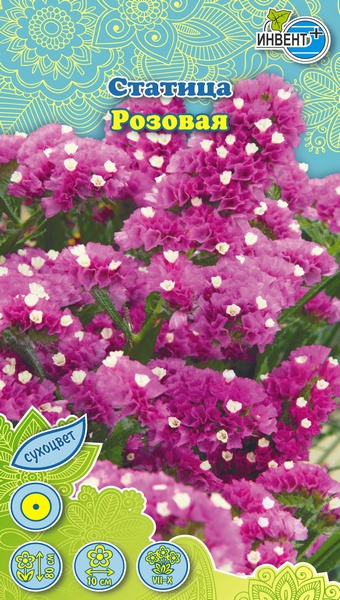 Статица Розовая ИНВЕНТ+: фото