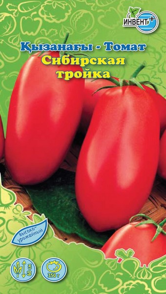 Томат Сибирская Тройка, ИНВЕНТ+: фото