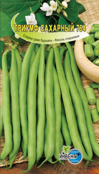 Фасоль спаржевая Триумф Сахарный 764, ИНВЕНТ+: фото