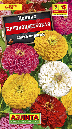 Семена цинния Крупноцветковая, смесь, Аэлита: фото