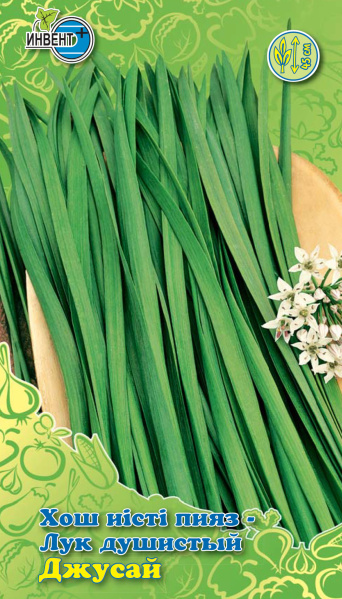 Лук душистый Джусай, ИНВЕНТ+: фото
