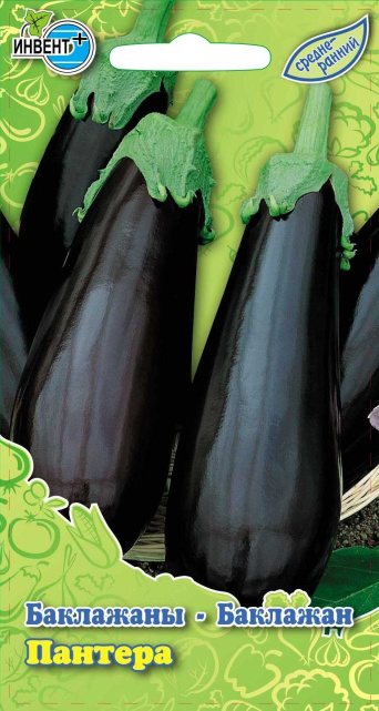 Баклажан Пантера, ИНВЕНТ+: фото