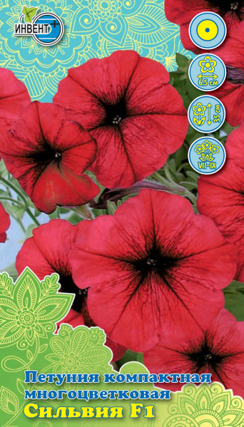 Петуния Сильвия F1, ИНВЕНТ+: фото